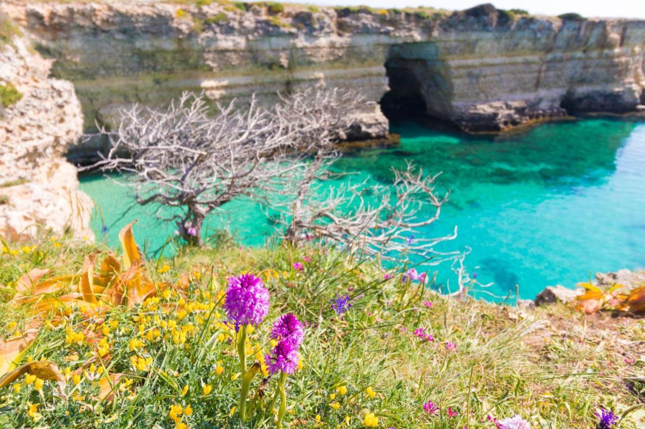 Apartmán Casa Alexandra, Vicina Al Centro, 8 Posti Otranto Exteriér fotografie